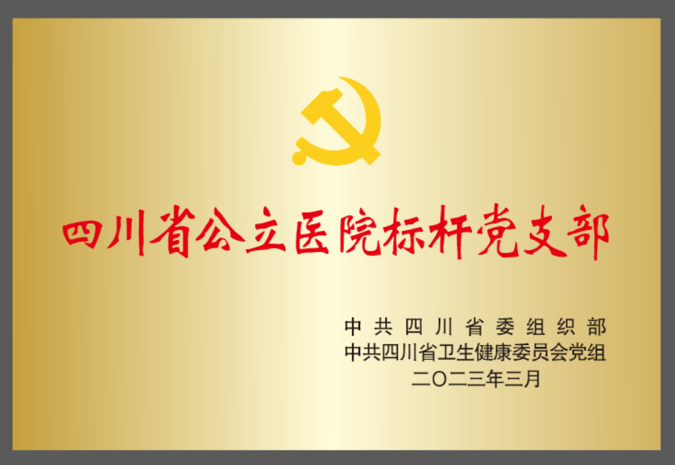 四川省公立医院标杆党支部