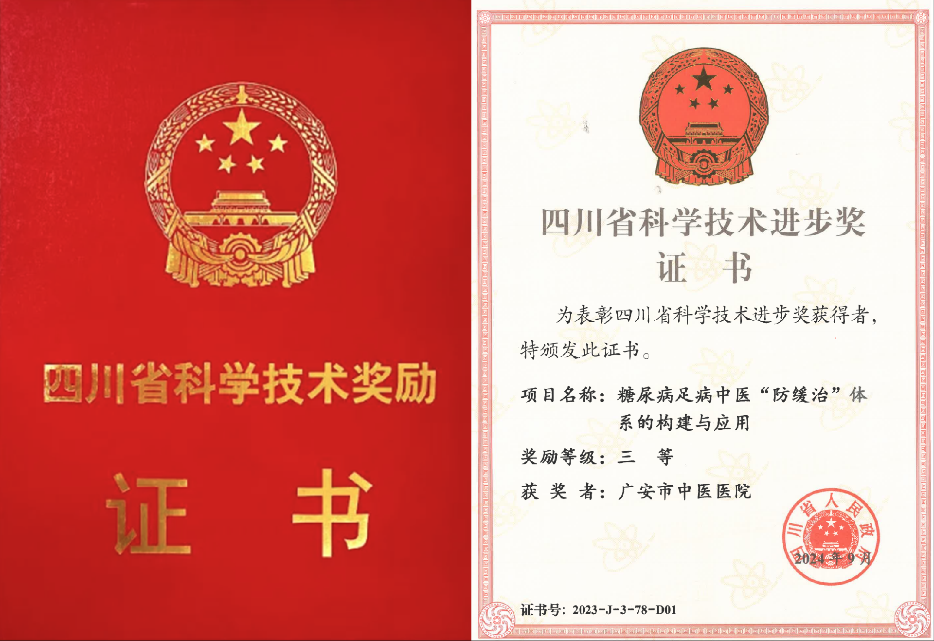 四川省科技进步奖三等奖.png